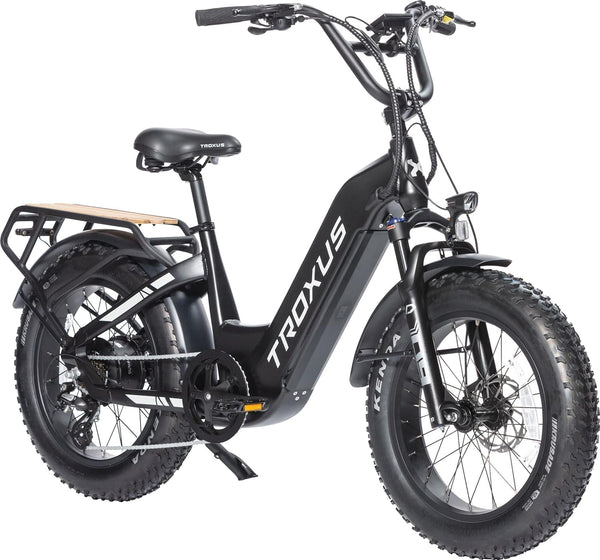 20'' Fat Tire Electric Bike for Adult,750W Motor 48V 20Ah Lithium Battery Step-Thru Electric Bicycle for Beach Snow 7 Speeds