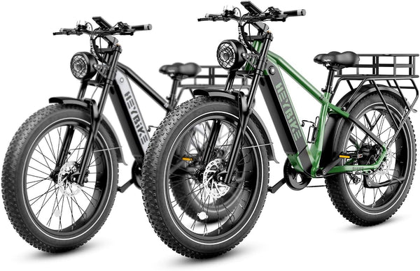 Brawn Electric Bike for Adults,750W 28MPH 26'' Fat Tire Ebike with 48V 18Ah Removable Battery,Off Road Electric Mountain Bike,Hydraulic Front Fork