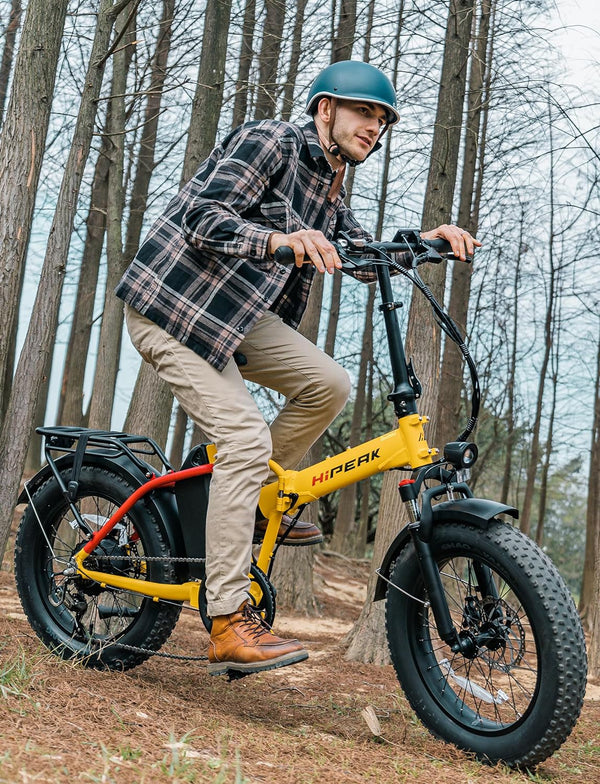 750W Electric Bike for Adults Folding Ebike 48V 15Ah 20" X 4.0" Fat Tire Electric Bike with Removable Battery, Foldable Adults Electric Bicycles 25MPH