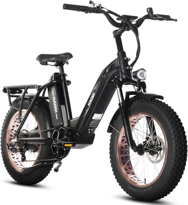 Antelope Electric Bike for Adults, Dual Battery Fat Tire Ebike, 750W Motor 48V 25AH Removable Battery, 20" X 4.0 Step-Thru Electric Bicycle with