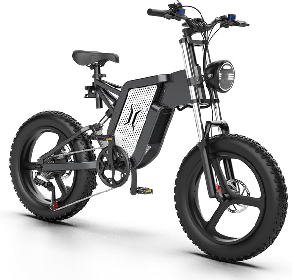 X20 Electric Bicycle for Adults,20" X 4.0 Fat Tire Electric Mountain Bike,2000W Motor,48V 25/30/35AH Removable Battery,7-Speed Gear, Dual Hydraulic